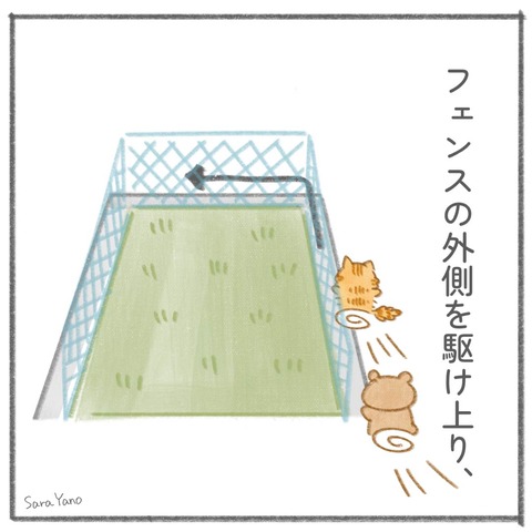lifesaver_0-4