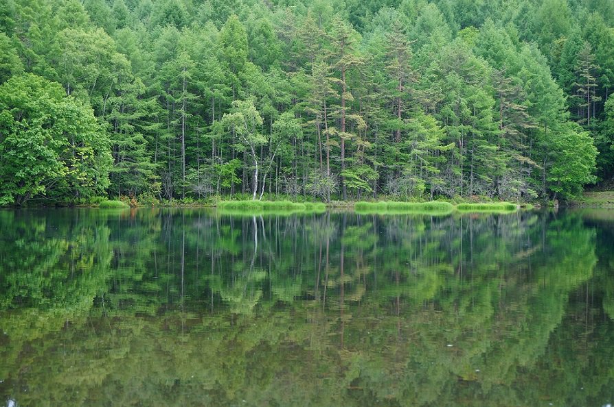 幻想的 もののけ姫に出てきそうな風景 御射鹿池 について おすすめ 旅先グルメ