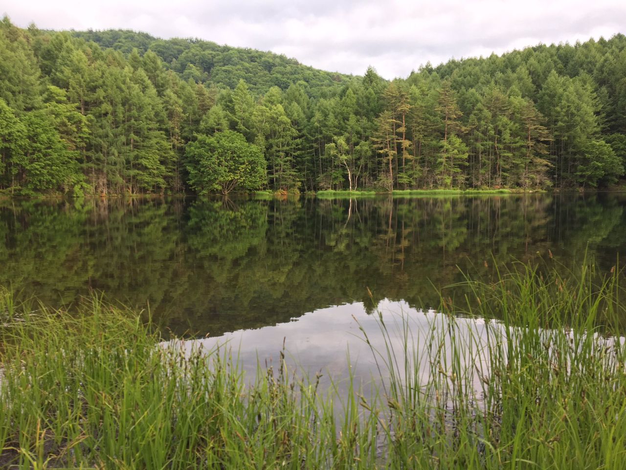 幻想的 もののけ姫に出てきそうな風景 御射鹿池 について おすすめ 旅先グルメ