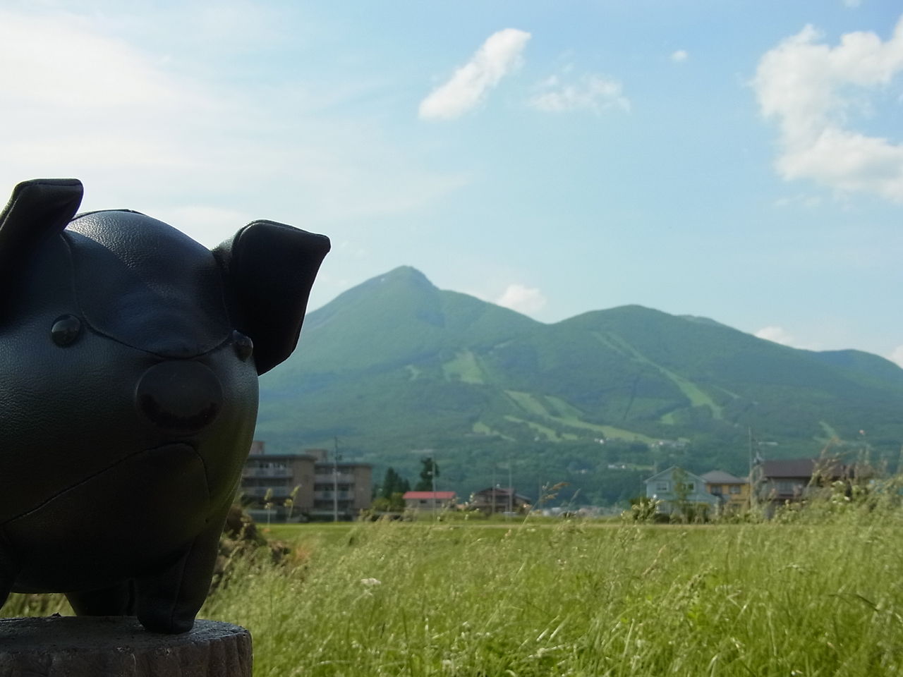 自転車に乗って行き 帰りに忘れて歩いて