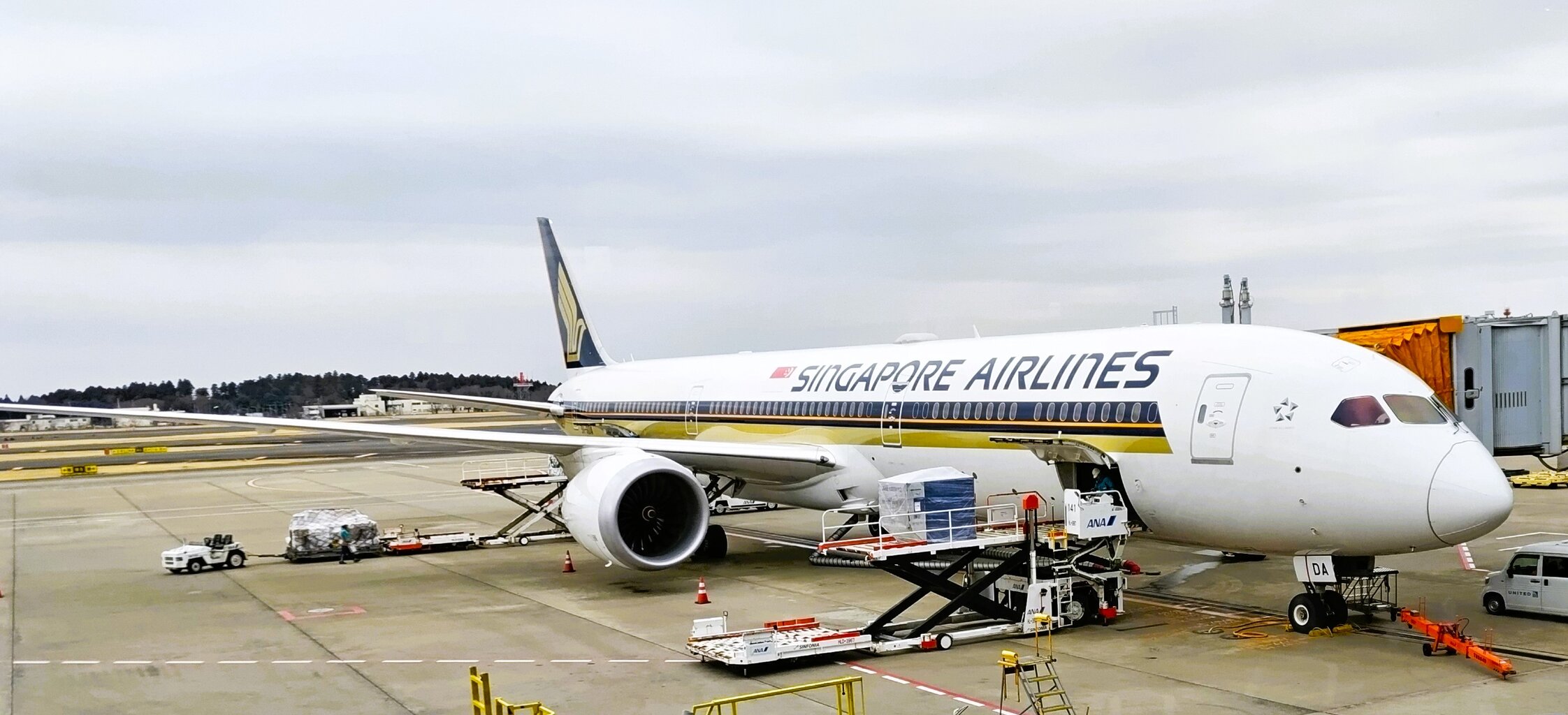 【中古】 シンガポール・バリ島 改訂３版/交通新聞社 シンガポール航空でバリ島へ（途中、アクシデントが） : 旅