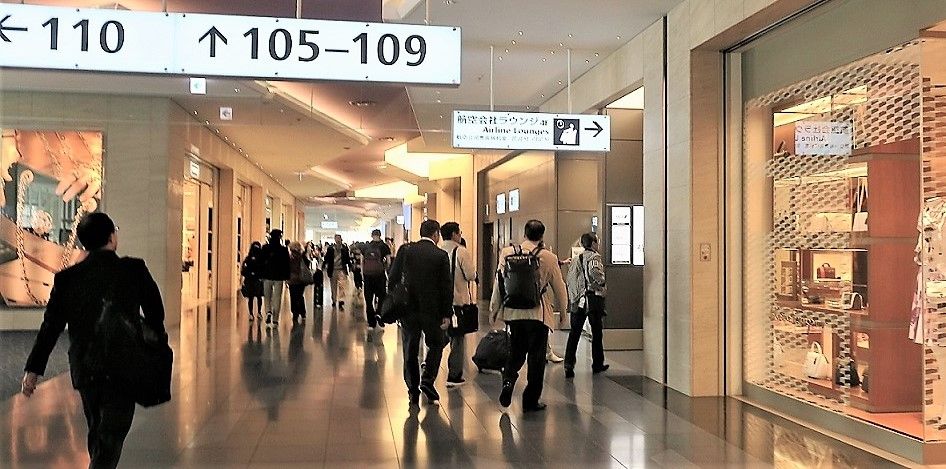 ANAで羽田からフランクフルトへ : 旅おじさんの旅日記