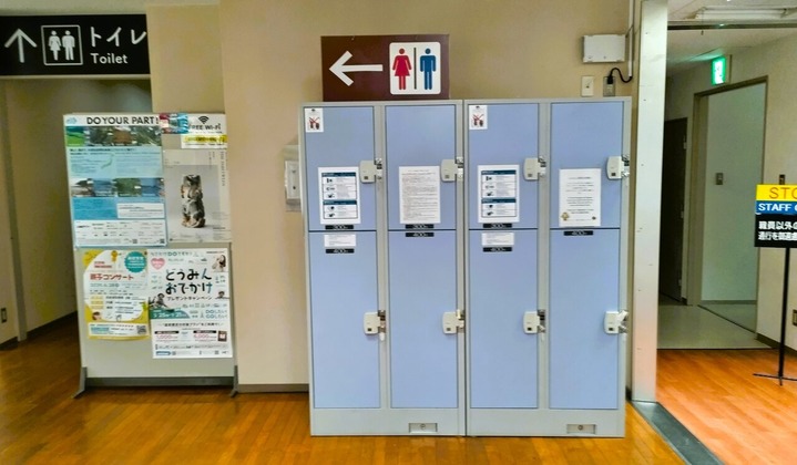 洞爺駅から昭和新山へ直行 : 旅おじさんの旅日記