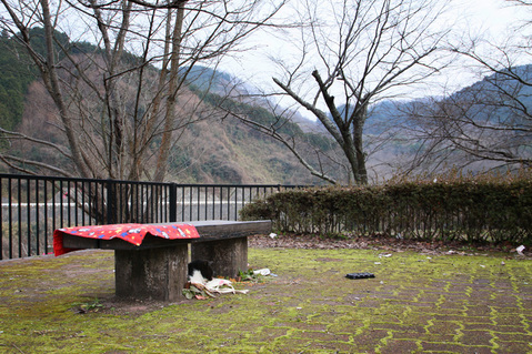 �����Ƥޤ�