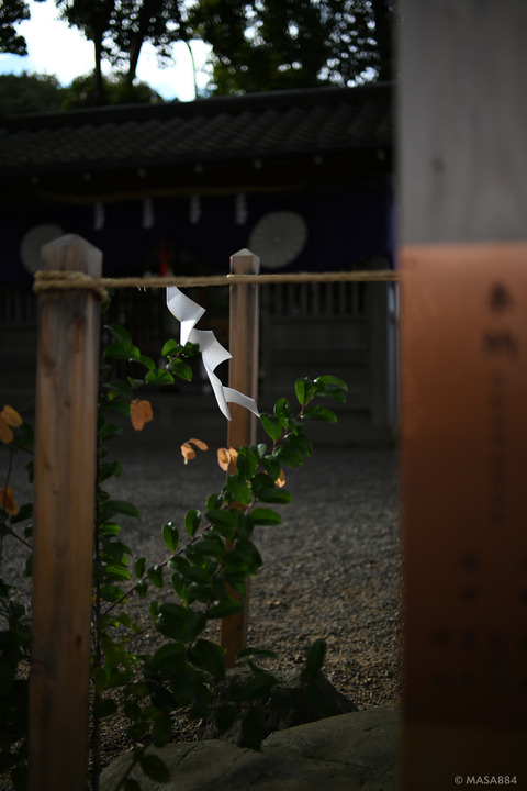 MZF_1462
