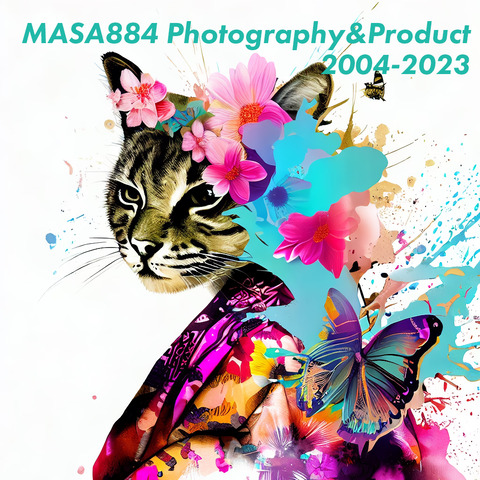 ai_010 �Υ��ԡ�