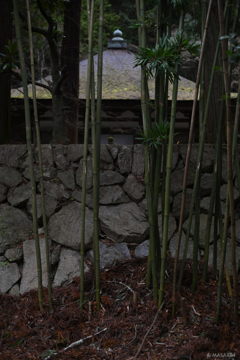 MZF_1064