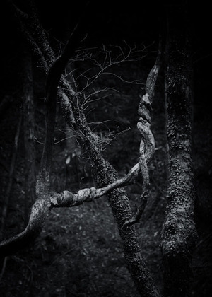DSC_1982-Edit