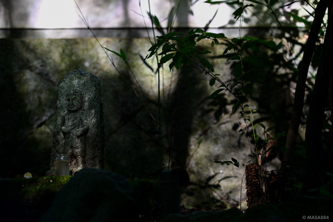 MZF_0519