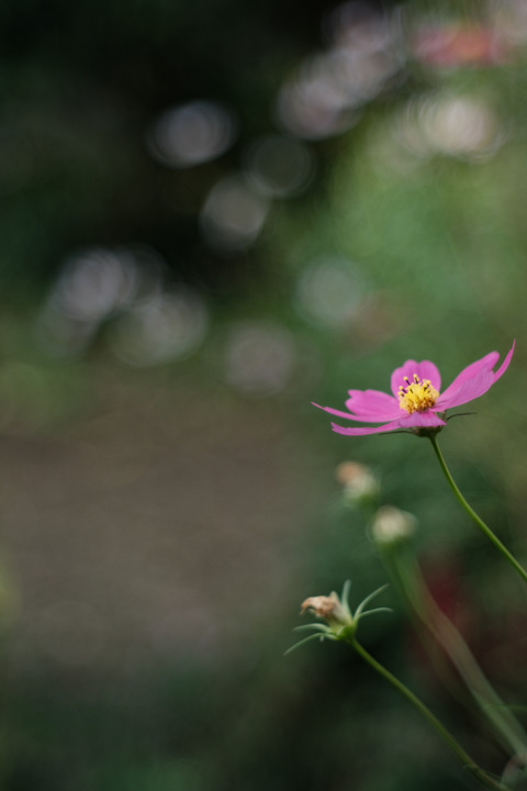 DSCF2357
