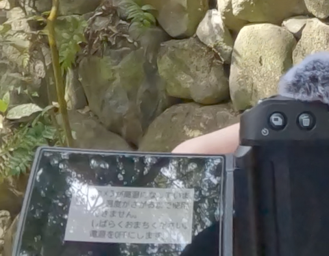 ꡼󥷥å 2024-04-16 0.30.38