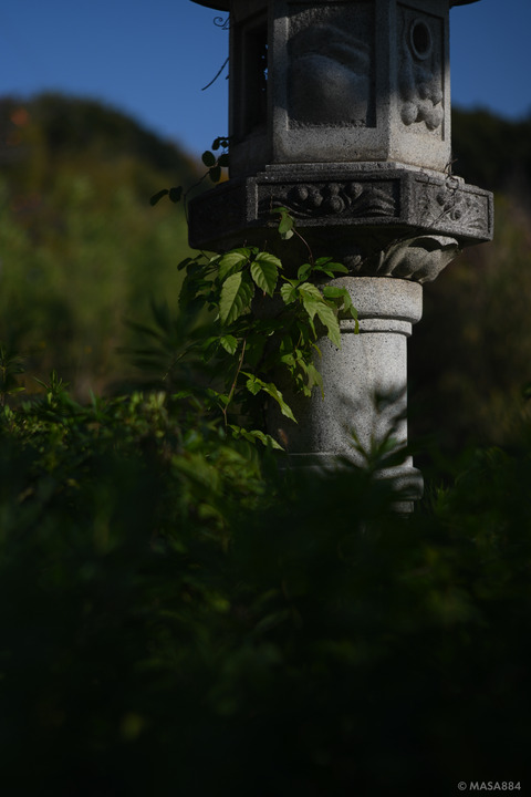 MZF_0476