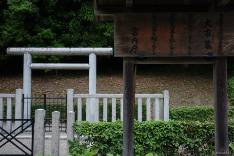 DSC07908