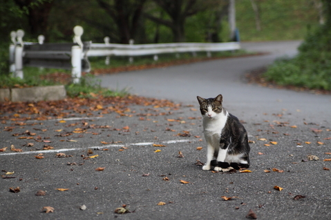 ������_1