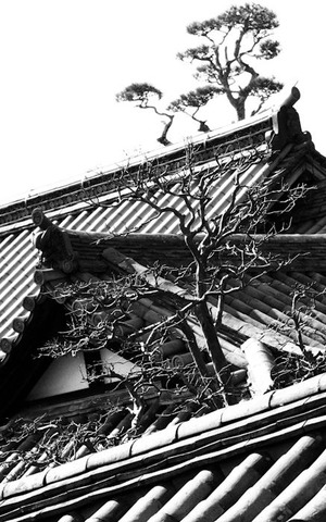 DSC_2083-Edit