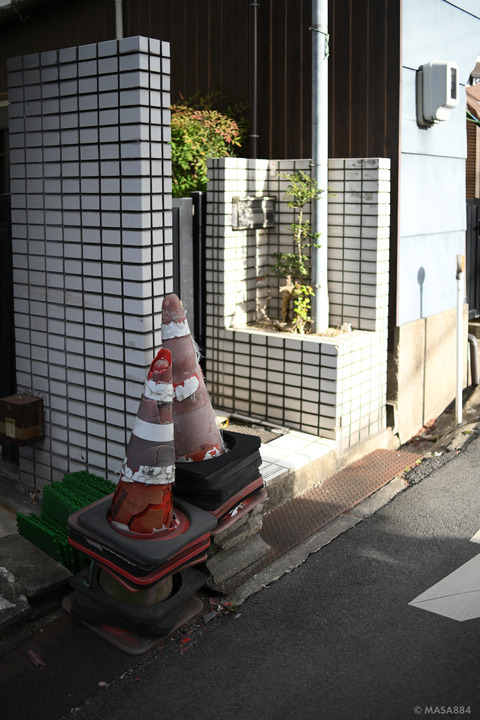MZF_1480