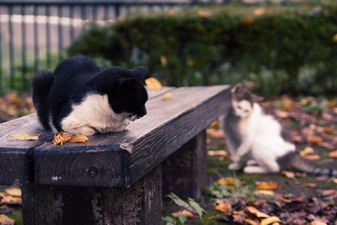 �⤦����_3