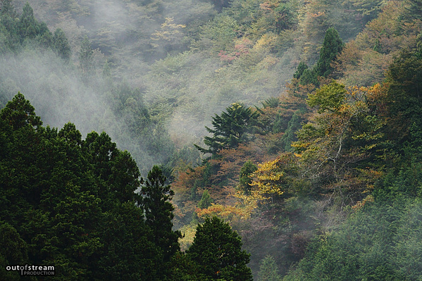 ���ջ���_1