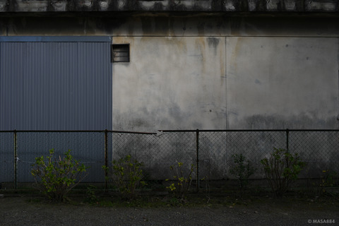 MZF_1466
