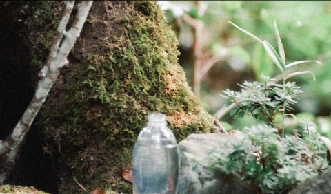 �����꡼�󥷥�å� 2024-09-21 11.20.44