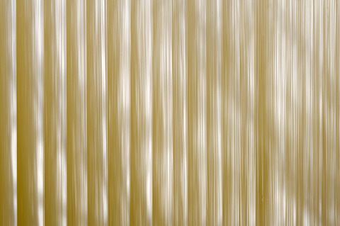 DSC_1544