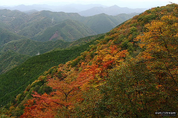 ���ջ���_8