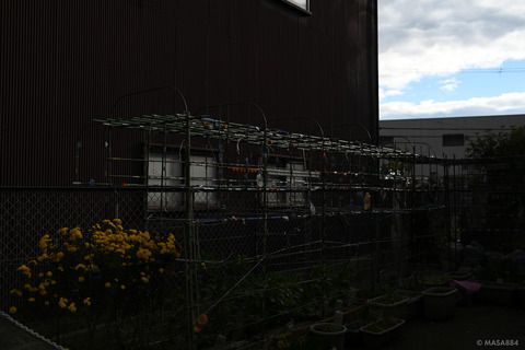 MZF_1475