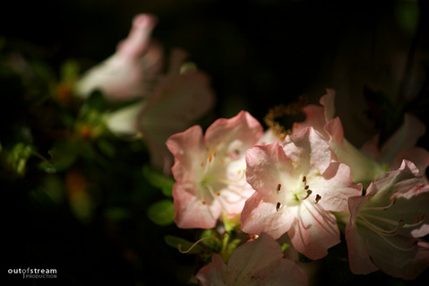 080506_�˲�����_17