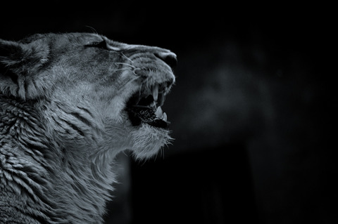 DSC_3571-Edit
