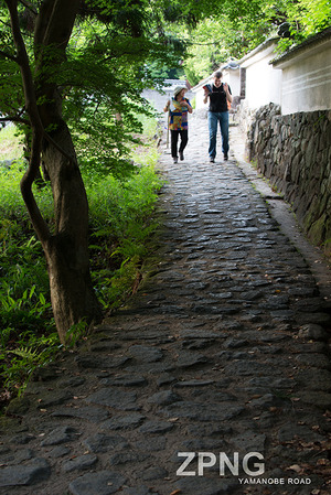 HYM_3015