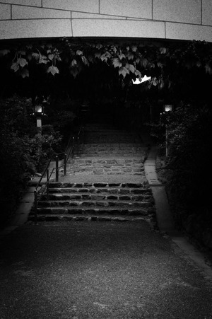 HYS_0407