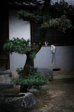 HYS_0470