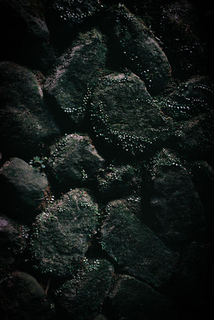000018
