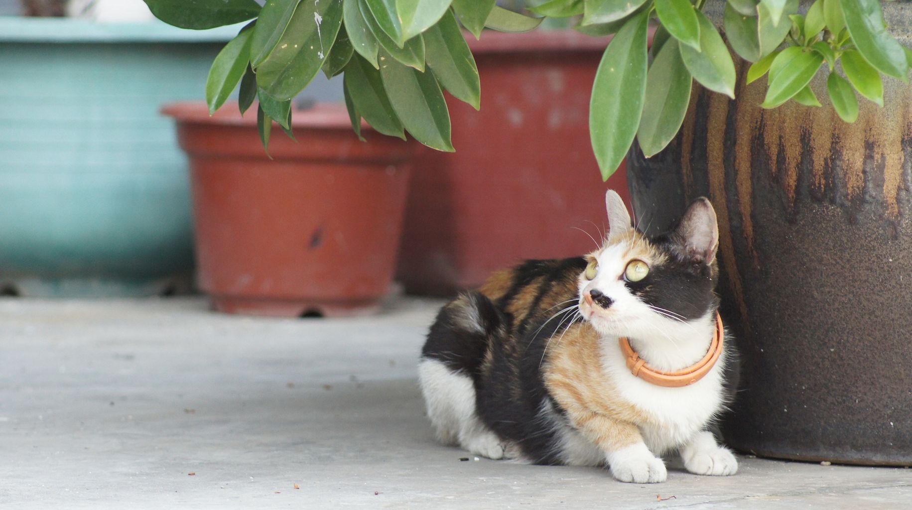 世界一周中の俺が良い感じに撮れた写真を自慢する 旅登山ちゃんねる