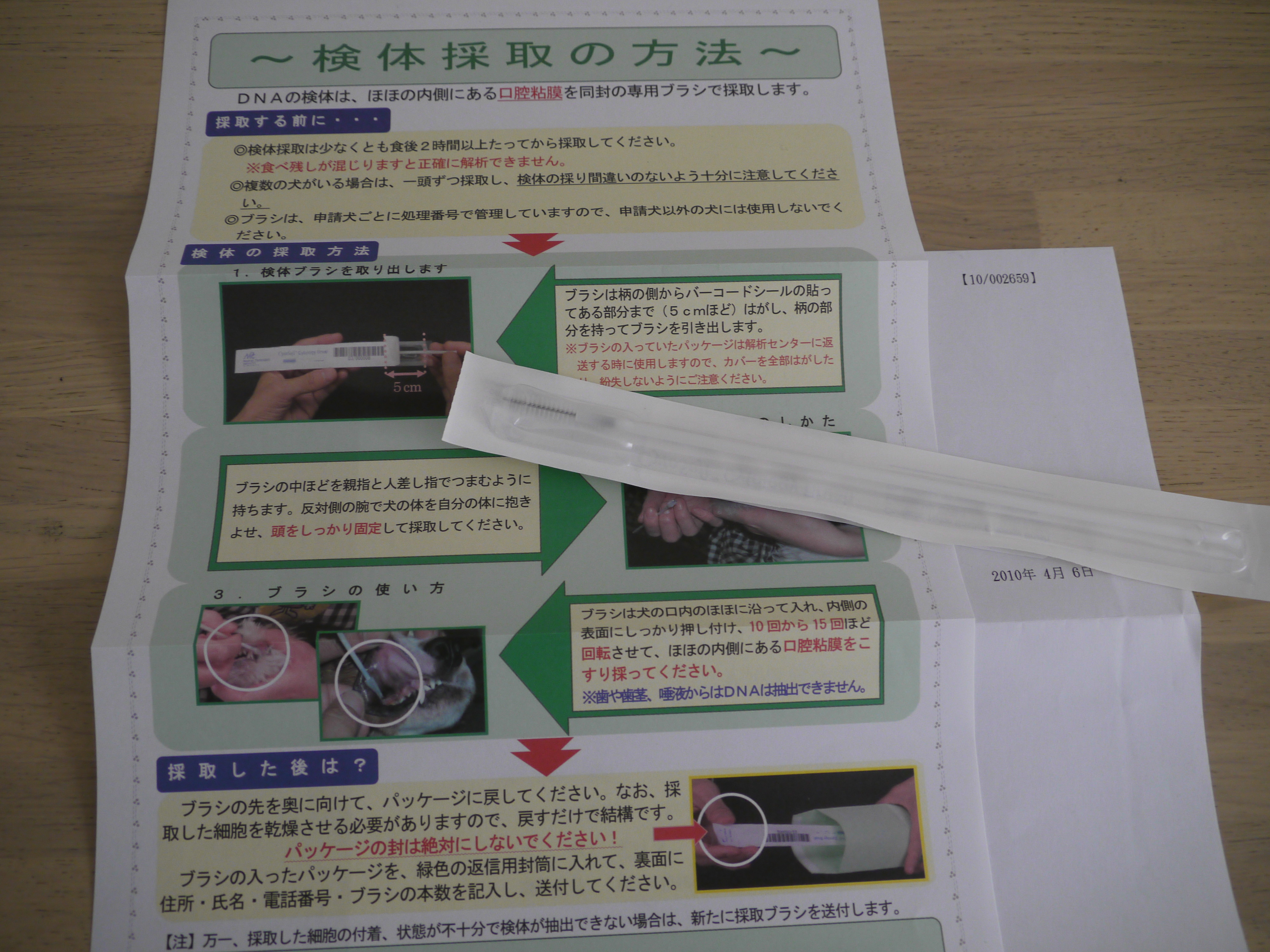 Dna鑑定 歯石取り シルバープ ドル サクラの日記