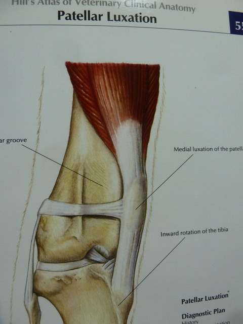 P1210124