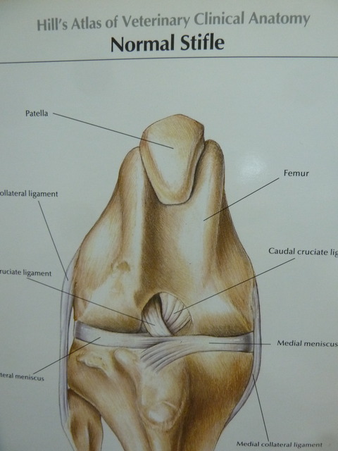 P1210121