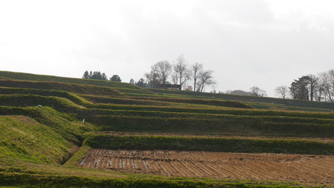 P5070172