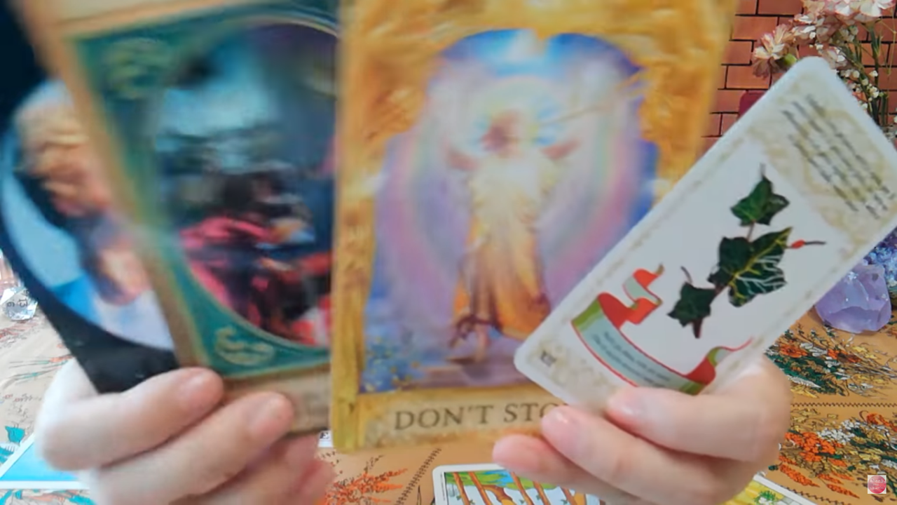 恋情 その他 Tableau In Mind