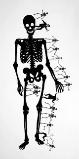 Danse%20Macabre