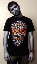 resized_dotdguys