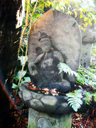 Nezu_jinjya-6