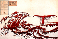 whale-6