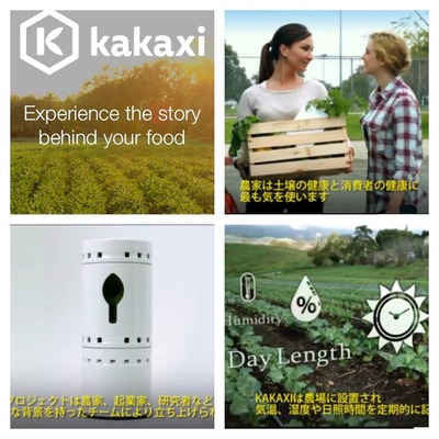 10999007_1558239017787369_1337991192832360398_n