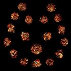 3310543076_8ec1bba7d4_o