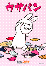 USAPAN
