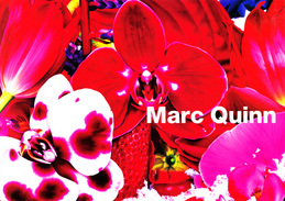 Marc Quinn