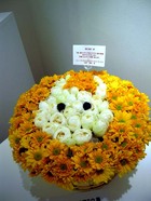 uamou-1