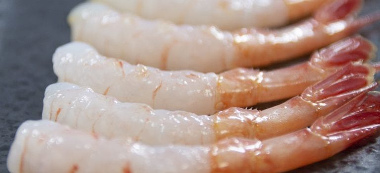アマエビが甘い理由 料理科学の森 : 料理と科学