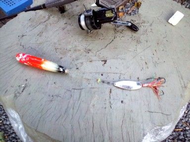 アキアジ釣り２ 北のrakuen荘オーナーのブログ